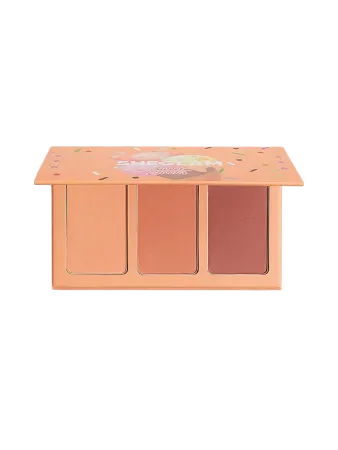 پالت رژگونه شیگلم