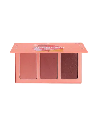 پالت رژگونه شیگلم