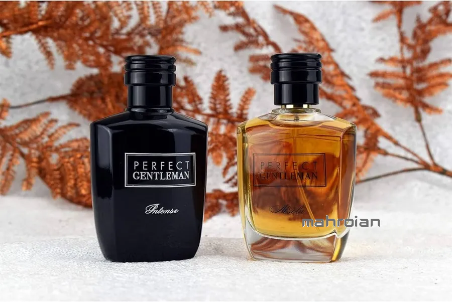 عطر آرت اند پرفیوم پرفکت جنتلمن اینتنس
