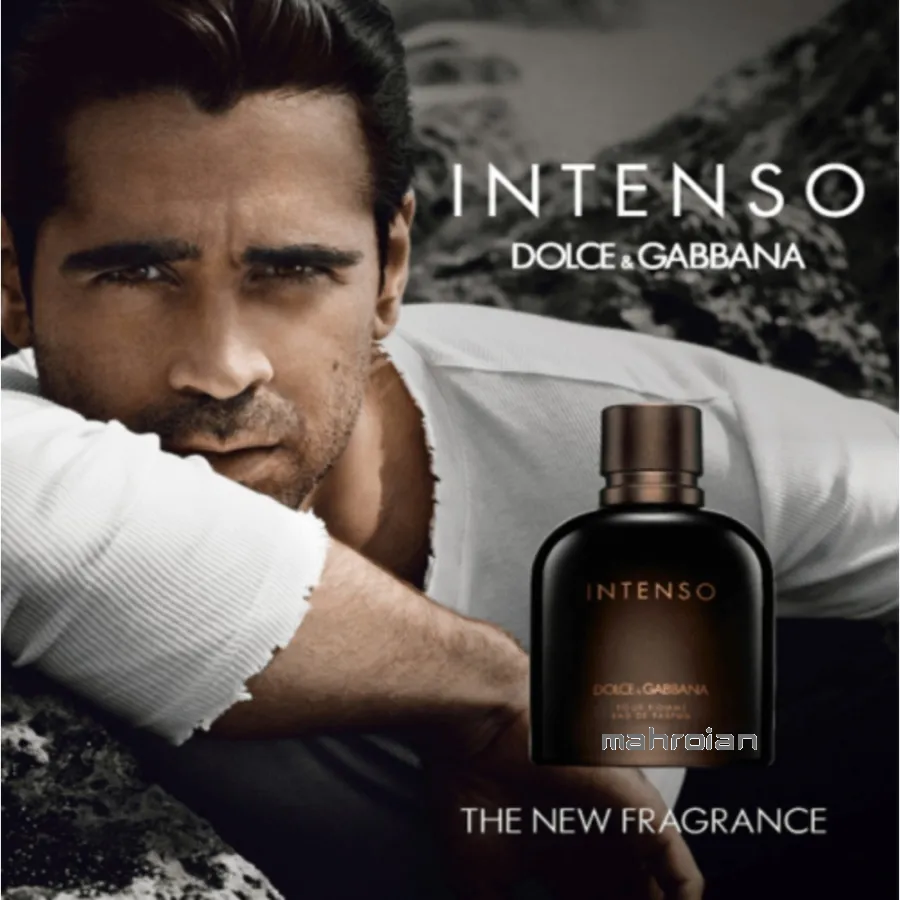 عطر دولچه گابانا پورهوم اینتنسو