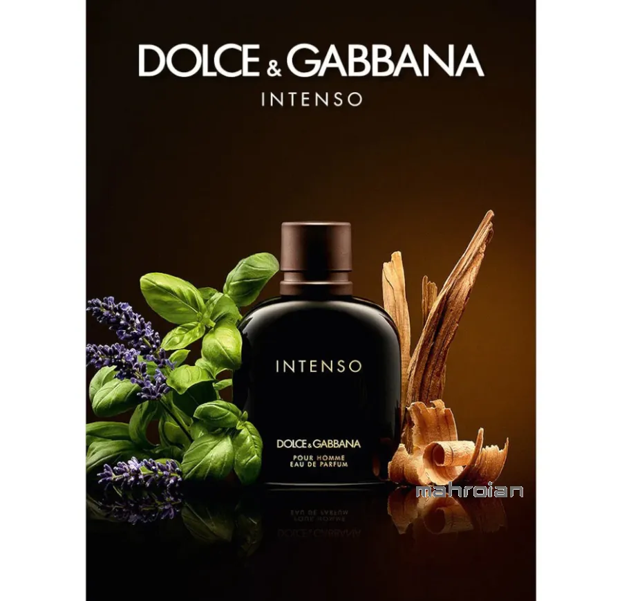 عطر دولچه گابانا پورهوم اینتنسو