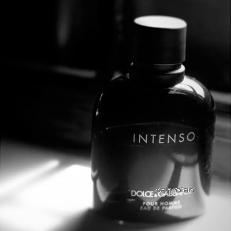 عطر دولچه گابانا پورهوم اینتنسو