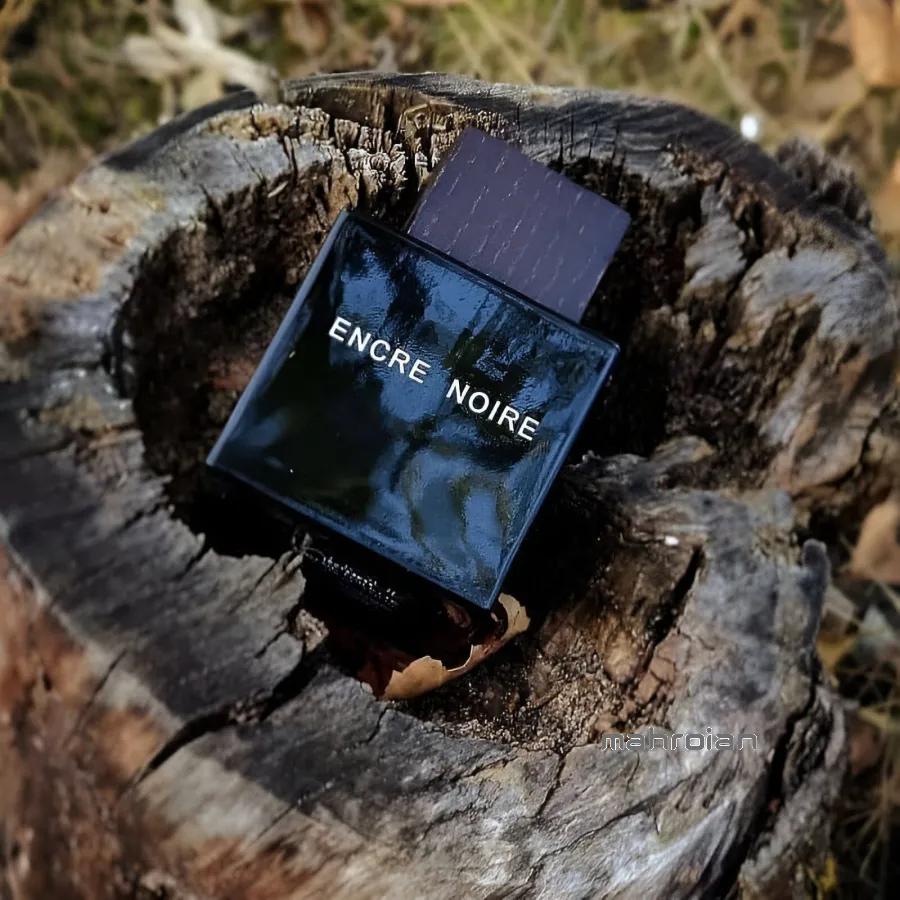 عطر لالیک انکر نویر