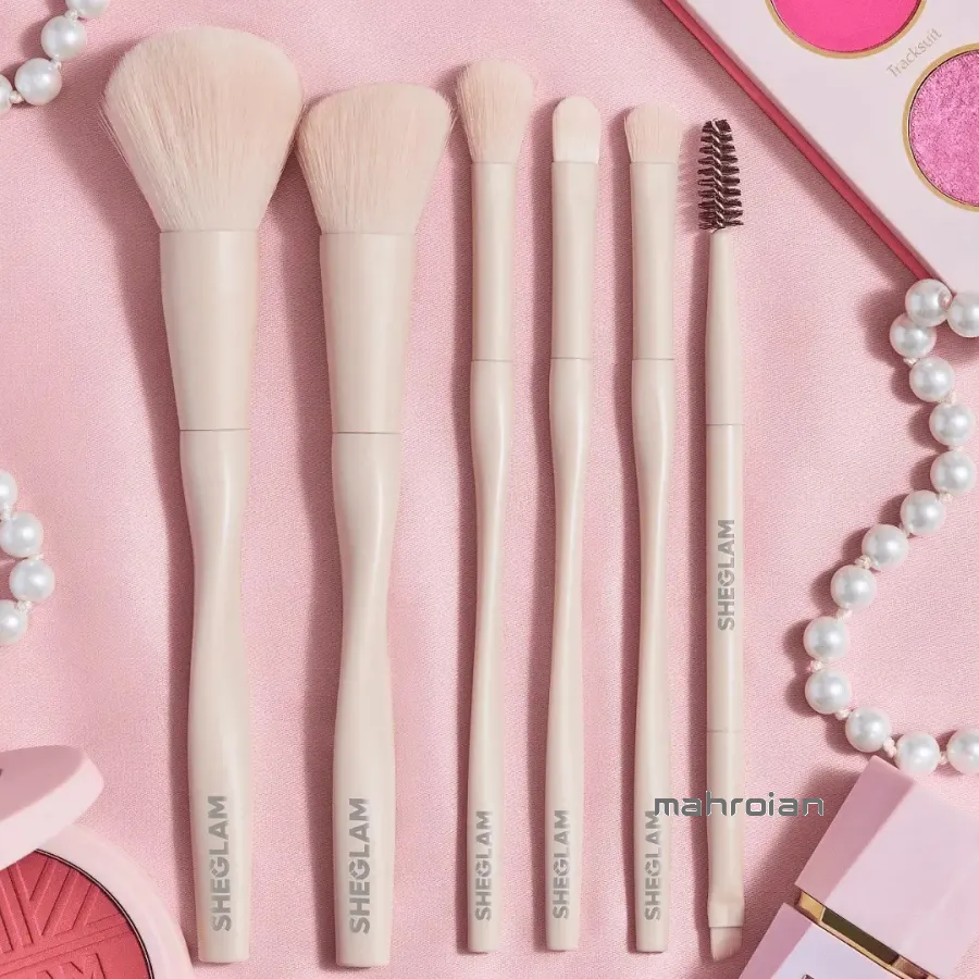 ست براش 6 تایی شیگلم