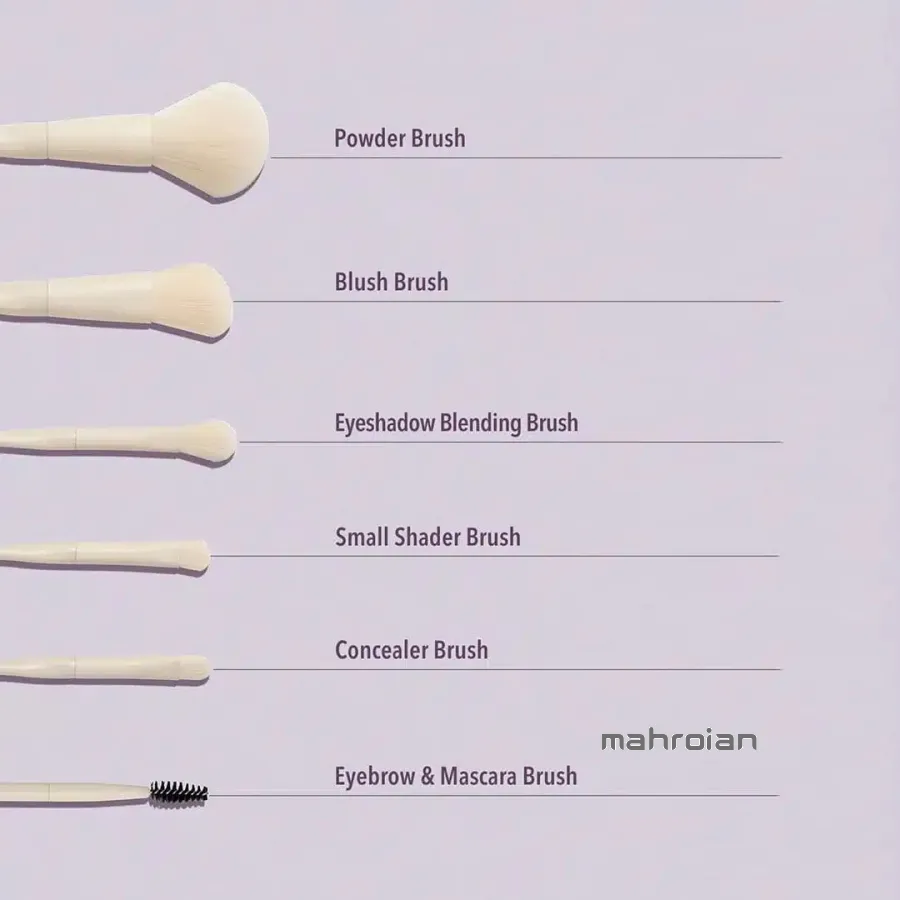 ست براش 6 تایی شیگلم