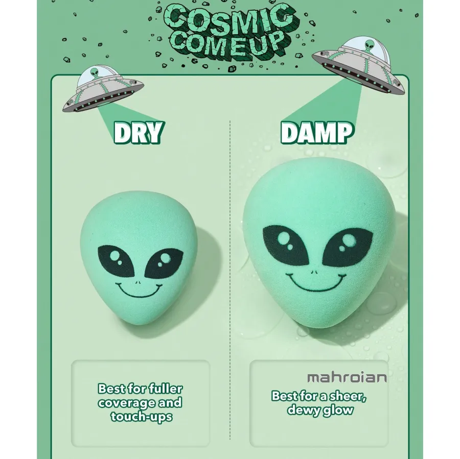 اسفنج آدم فضایی شیگلم