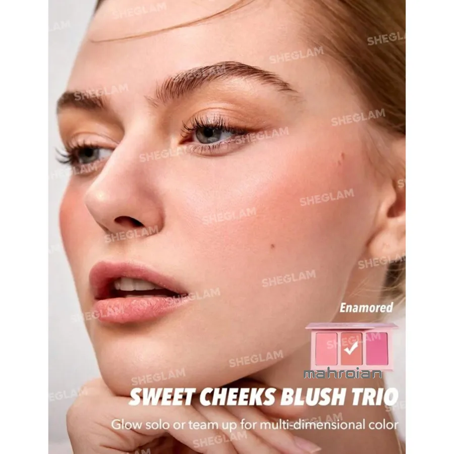 پالت رژگونه سه تایی شیگلم