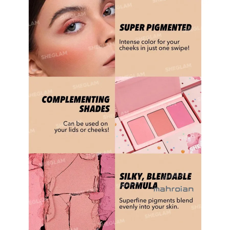 پالت رژگونه شیگلم