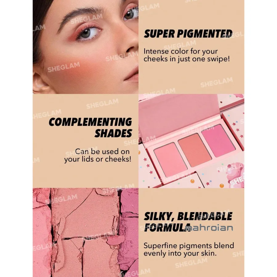 پالت رژگونه شیگلم